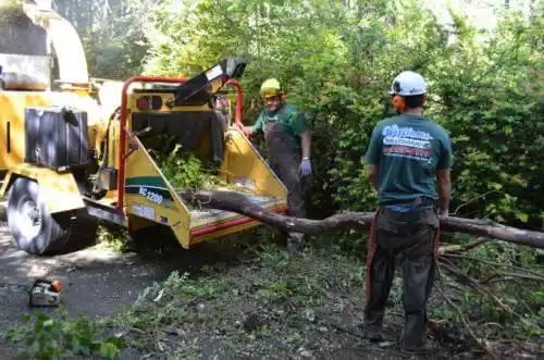 tree services Idaho